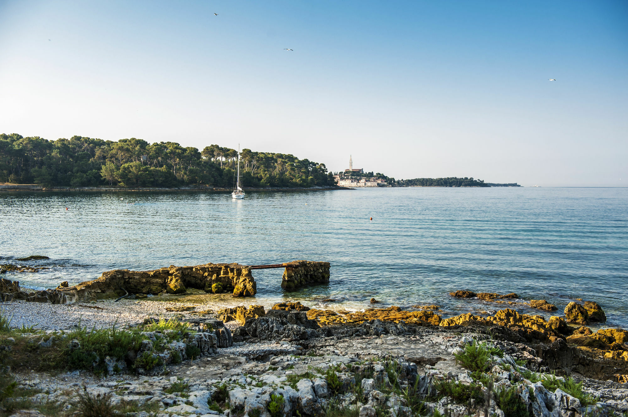 Apartments Villa Borik Rovinj Exteriér fotografie